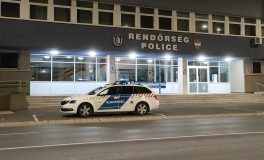 kék, rendőr, rendőrségi, elfogás