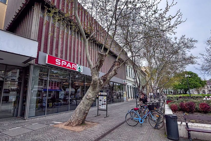 kivágják a fákat Békéscsabán