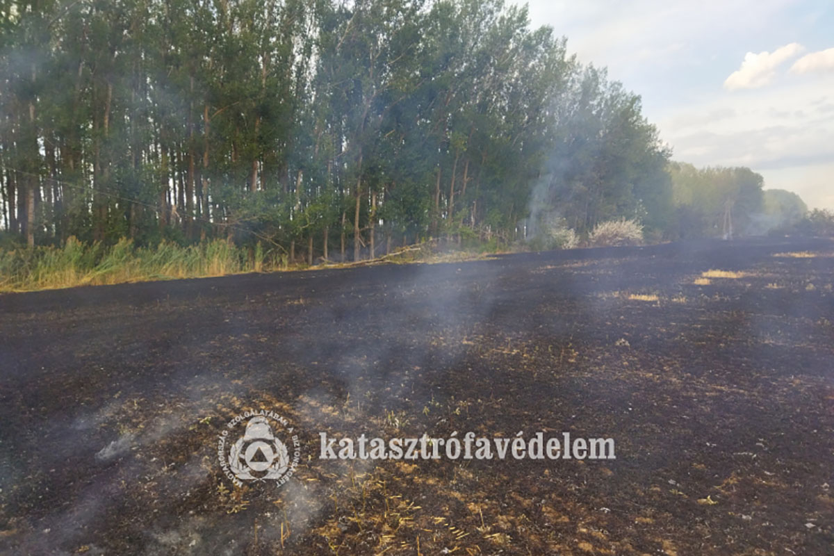 szabadtéri tűzesetek, területtűz