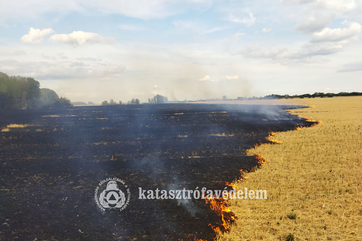 Két szabadtéri tűzhöz is riasztották a tűzoltókat Békés megyében