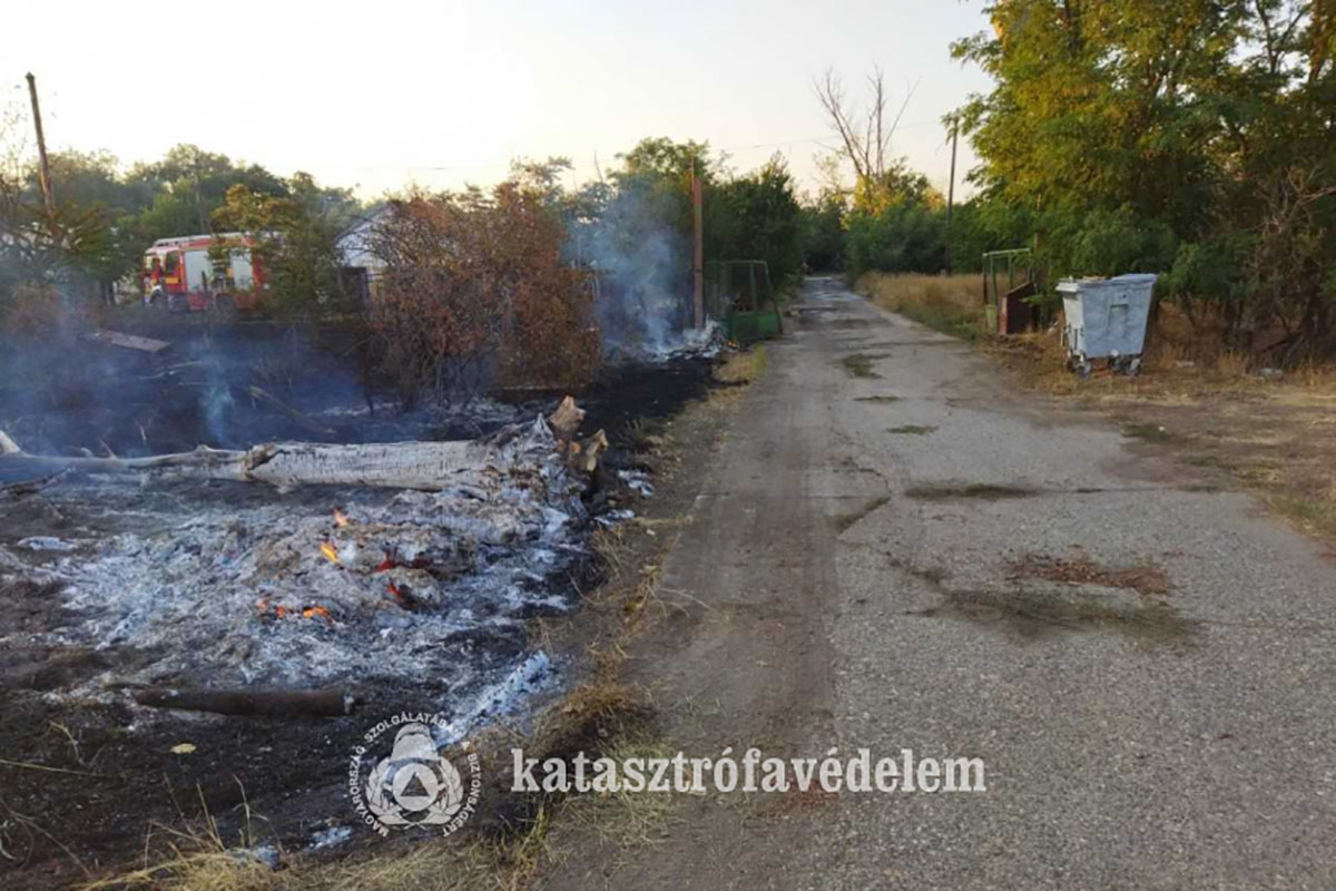 Száz sertést mentettek ki a tűzoltók egy orosházi sertéstelepről