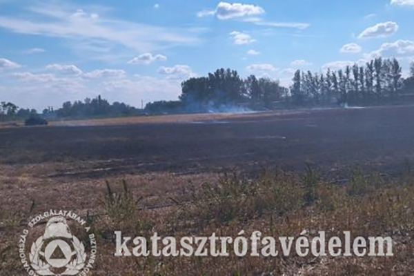 Tarlótűz veszélyeztette a tanyát Medgyesegyházánál