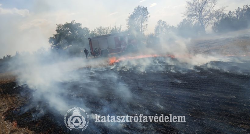 Lángra kapott a legelő és a búzatarló Gyulánál