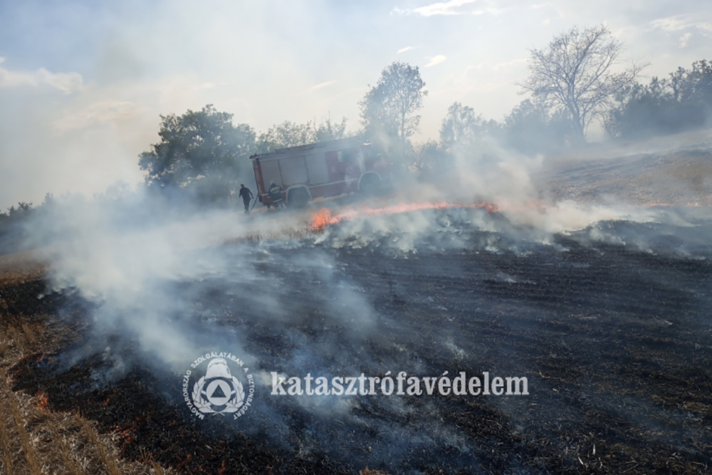 Három hektárnyi terület kapott lángra Gyulánál