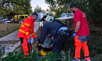bajba jutott idős hármas körösön