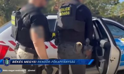 Drogültetvényt számoltak fel Medgyesegyházán: három terjesztőt vettek őrizetbe a rendőrök