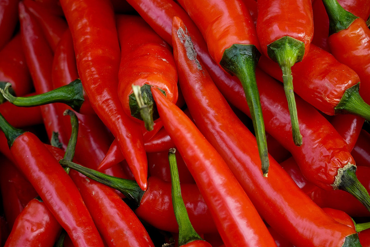 Bedőlt a kamu üzlet: milliós fűszerpaprika-szállítmányt nyelt el a szeghalmi kamuvállalkozó